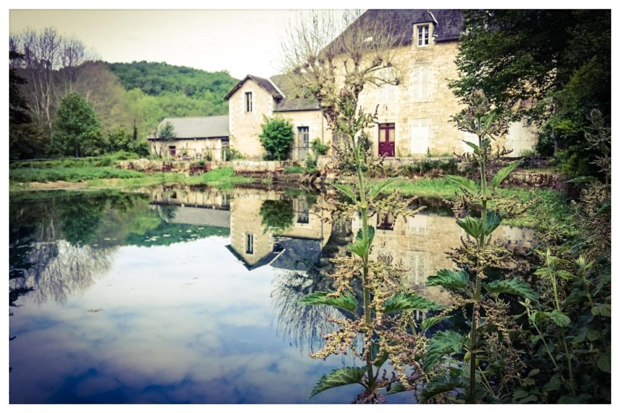 Bed and Breakfast O Reve De Gabriel Saint-Amand-de-Coly Exterior foto