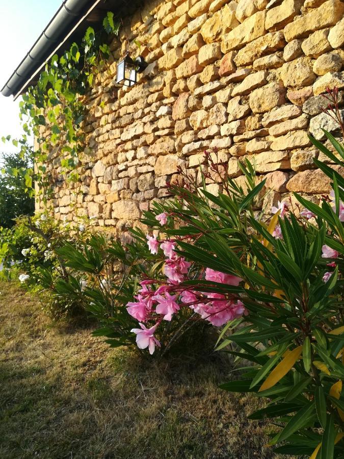 Bed and Breakfast O Reve De Gabriel Saint-Amand-de-Coly Exterior foto